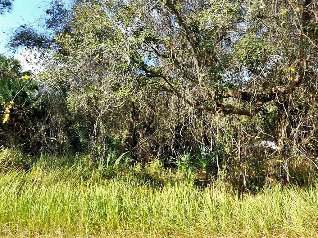 Kacher Road, NORTH PORT