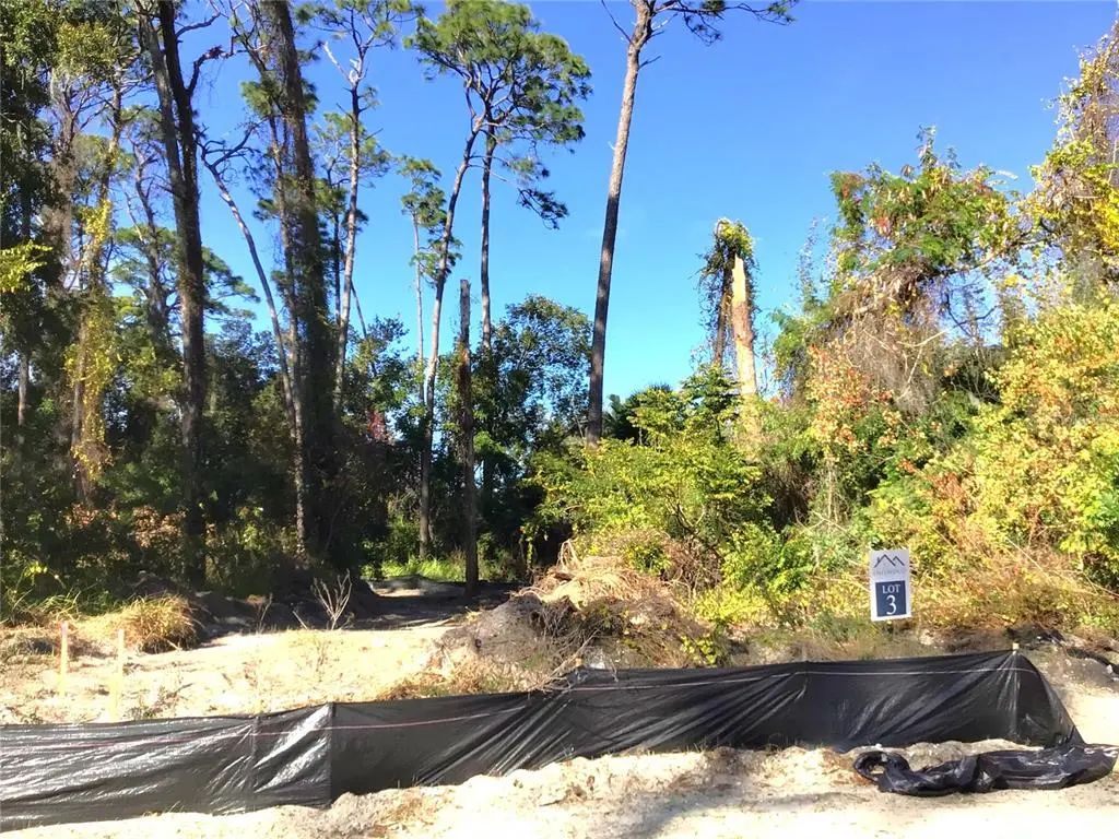 1299 Almaria Court, PALM HARBOR