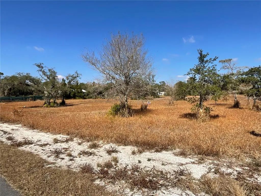 490 Hobbs Drive, VENUS