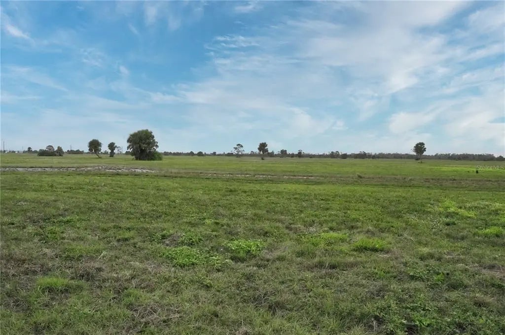 Photo of Listing #C7504019