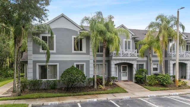 18195 Paradise Point Drive, TAMPA