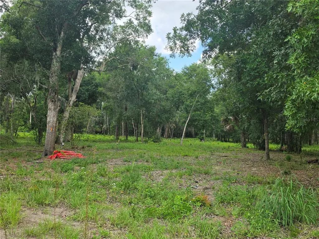 Photo of Listing #O6417763
