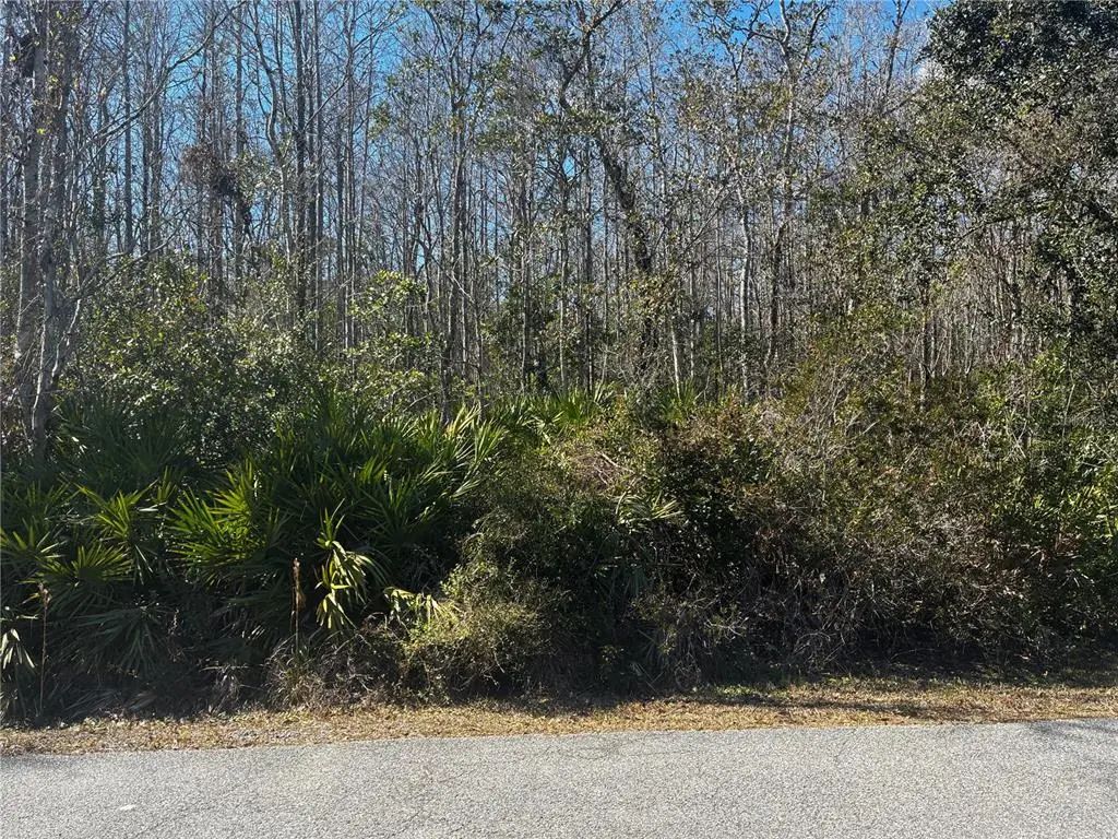 1214 Murdock Boulevard, ORLANDO