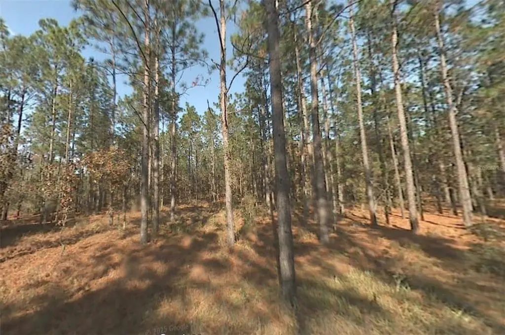 Sw 39th Street, DUNNELLON