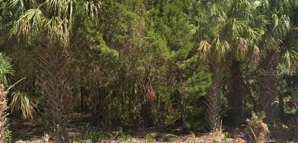 4030 S Kings Avenue, HOMOSASSA