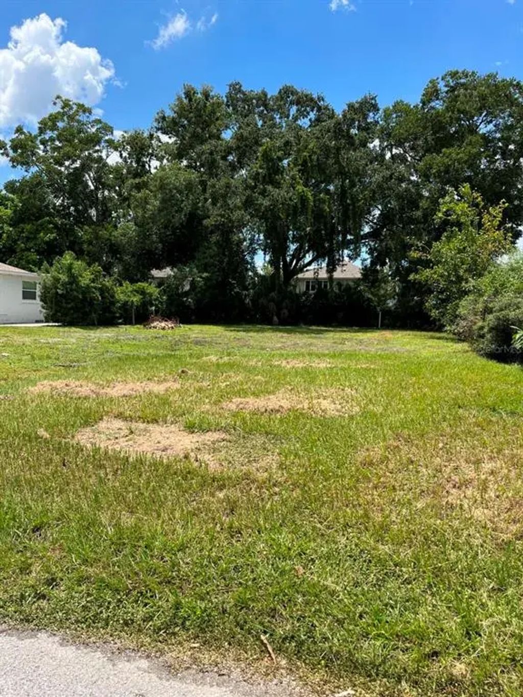 306 North Excelda Avenue, TAMPA