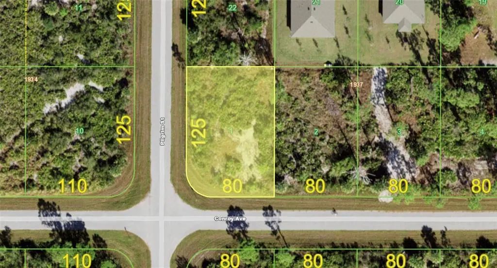 12132 Conroy Avenue, PORT CHARLOTTE