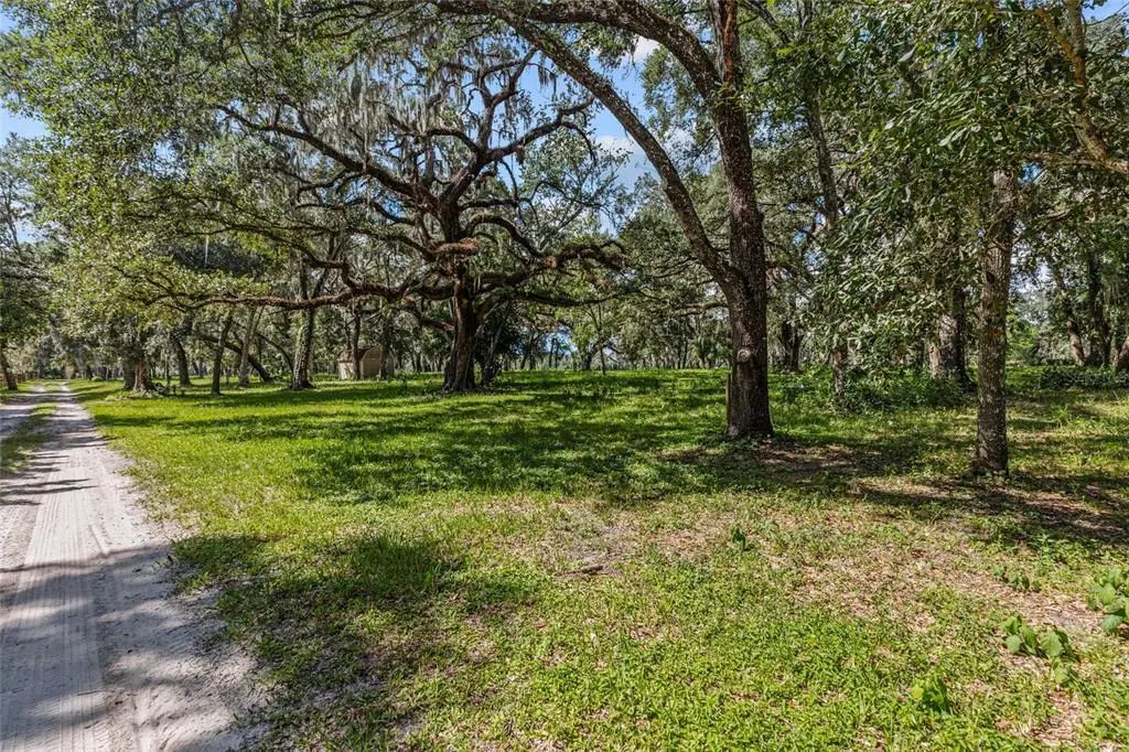17445 Palmer Lane, SPRING HILL