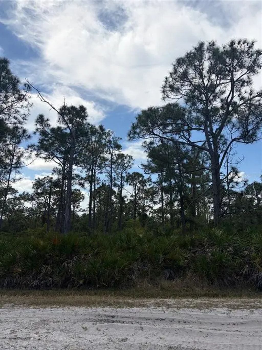 28078 Ramiro Drive, PUNTA GORDA