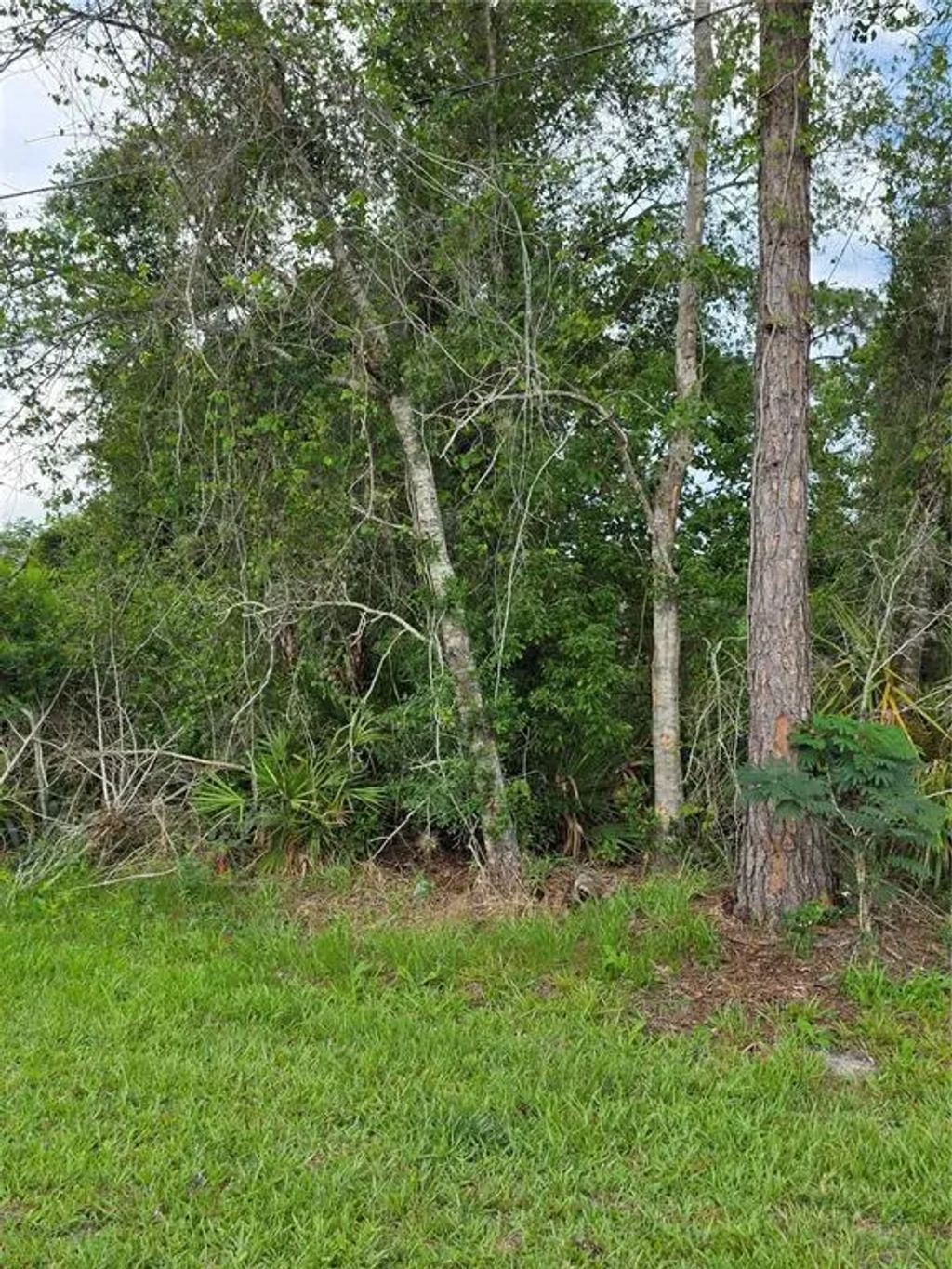 3227 Urmey Avenue, DELTONA