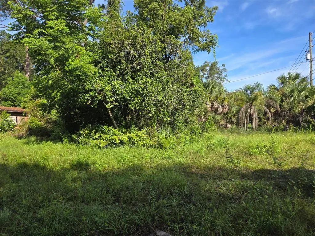 5028 Mount Plymouth Rd, APOPKA