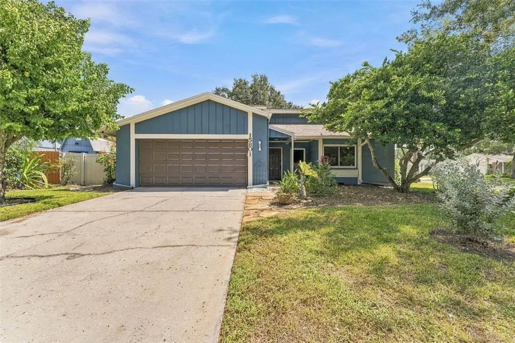 15801 Country Lake Drive, TAMPA