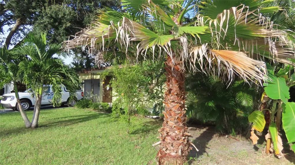 1841 West Drive, CLEARWATER