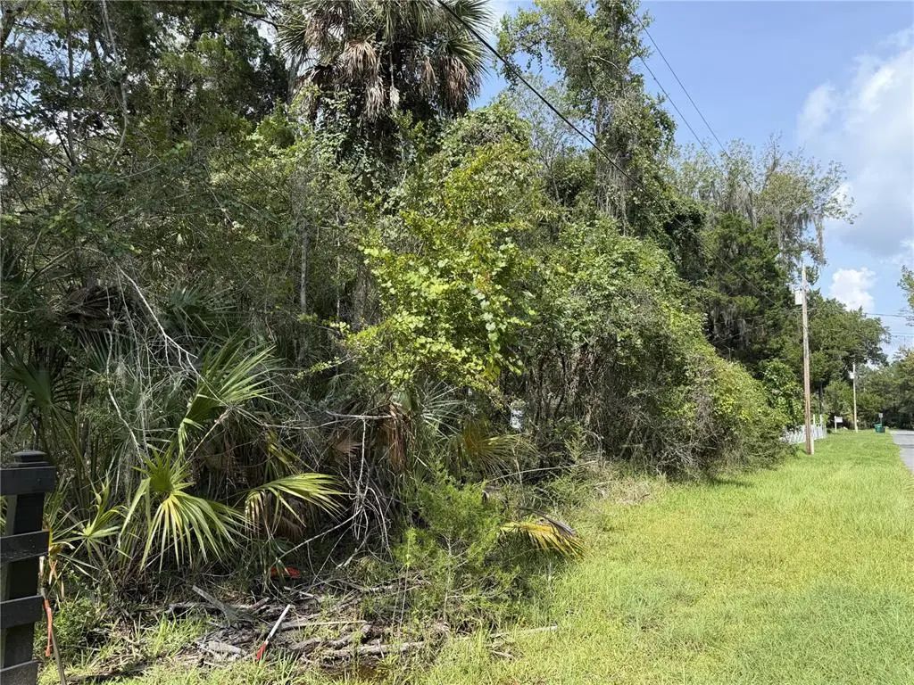 10991 W London Lane, HOMOSASSA