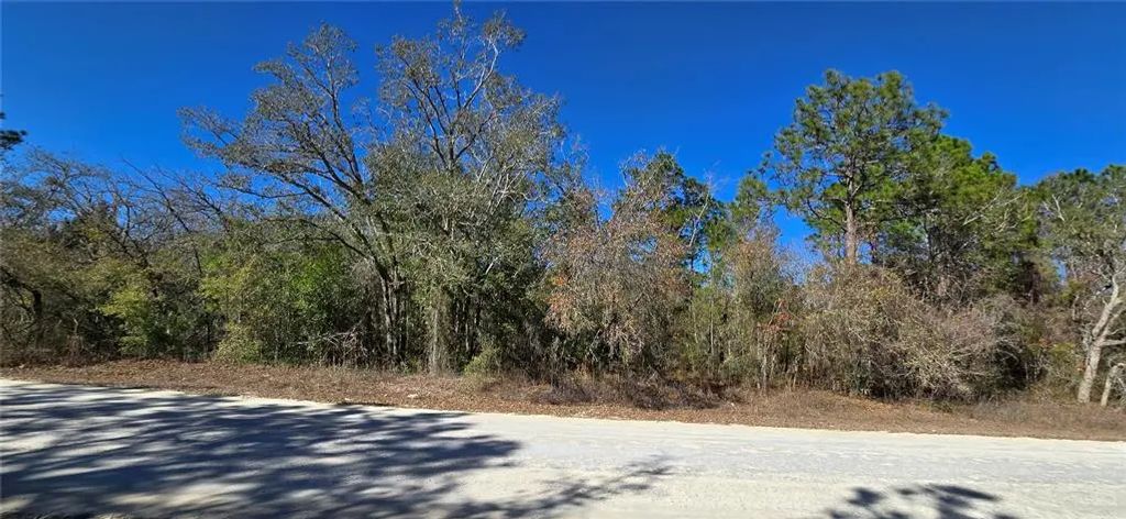 13231 Road Runner Avenue, WEEKI WACHEE