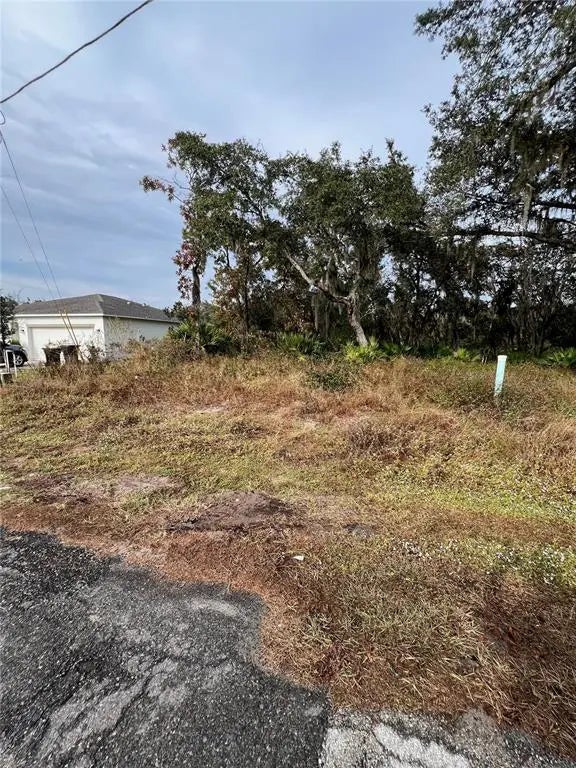 328 Alewife Ln, KISSIMMEE