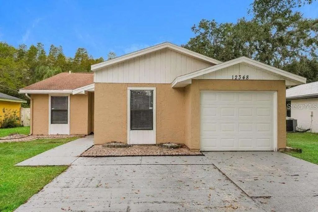 12348 Witheridge Drive, TAMPA