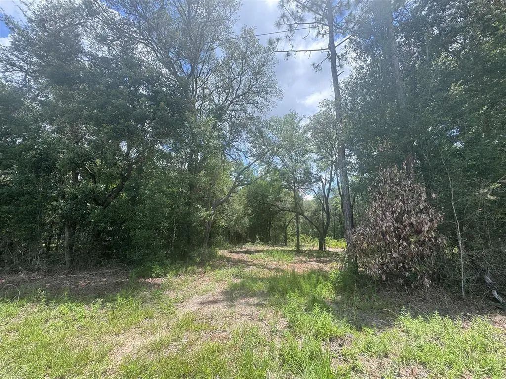751 Ne 139th Avenue, WILLISTON