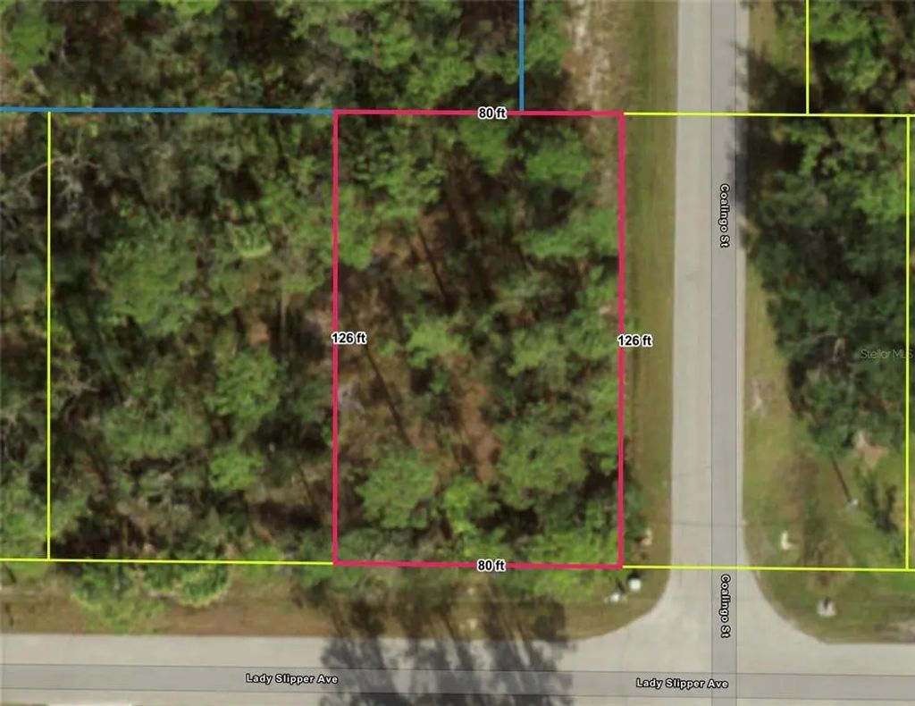 Lady Slipper Avenue, NORTH PORT