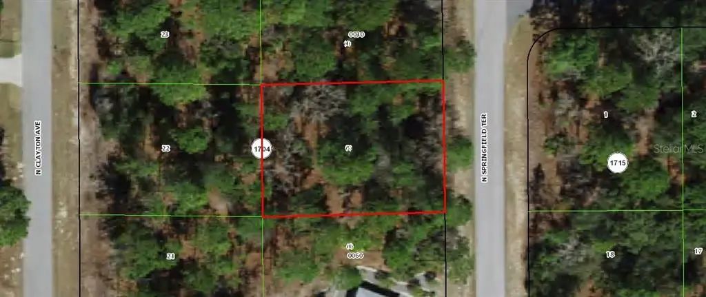 6536 N Springfield Terrace, Dunnellon