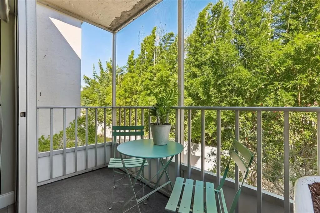 21 of 34 - 938 Virginia Street 204, DUNEDIN, FL