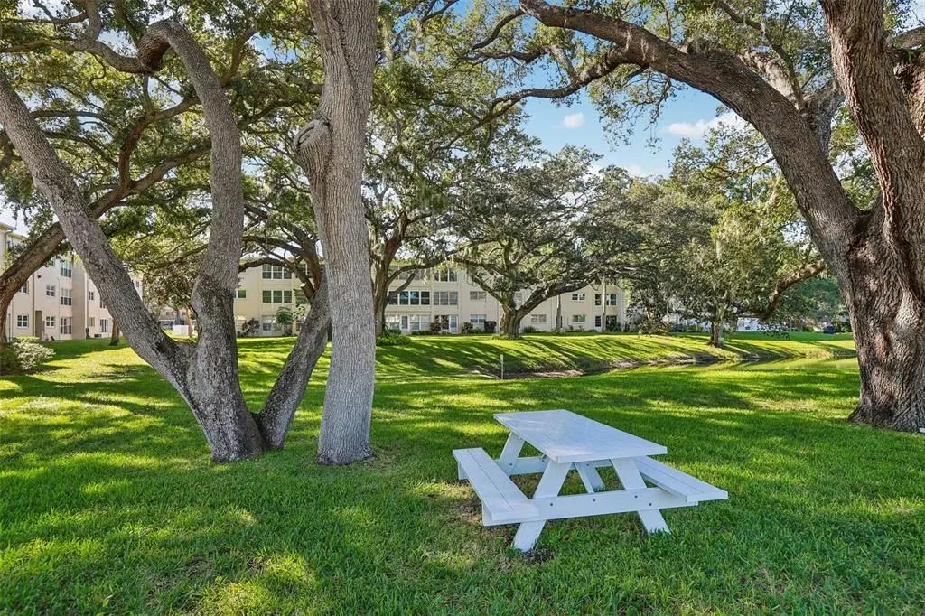 33 of 34 - 938 Virginia Street 204, DUNEDIN, FL