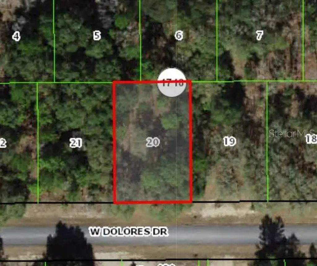 1439 W Dolores Drive, Citrus Springs