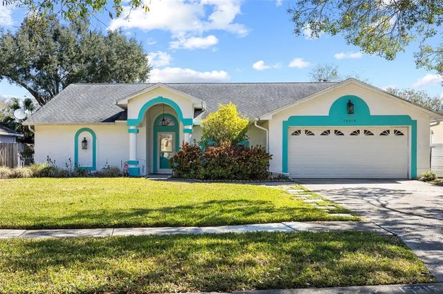 15315 Carrollton Lane, TAMPA