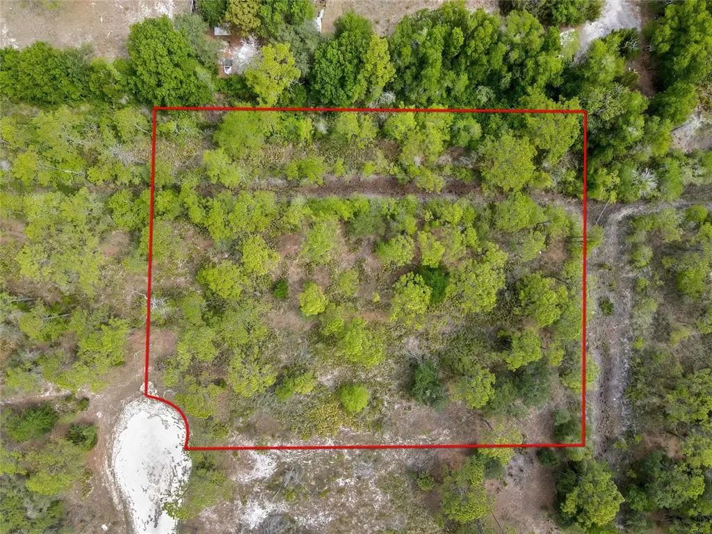 Parallel Road, WEEKI WACHEE