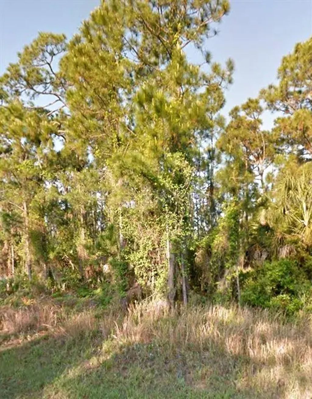 Old Wine Road, NORTH PORT