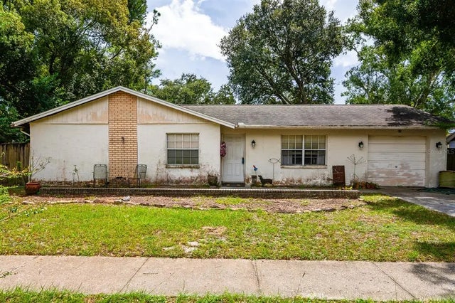 17645 Meadowbridge Drive, LUTZ