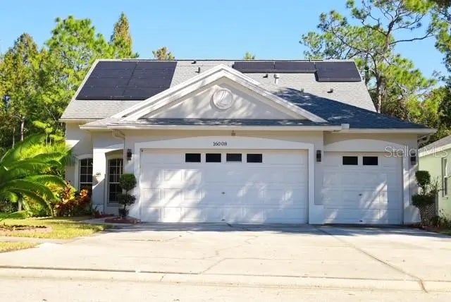 16008 Stags Leap Drive, LUTZ