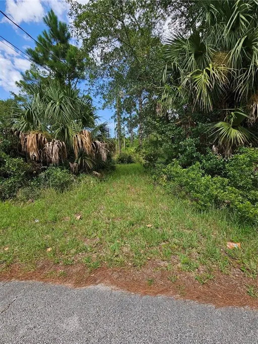 1715 Tatum Boulevard, NEW SMYRNA BEACH