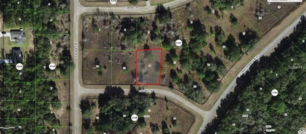 599 E Jewel Lane, DUNNELLON