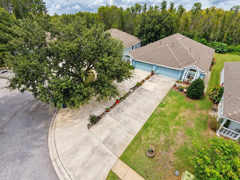 19339 Everton Place, LAND O LAKES