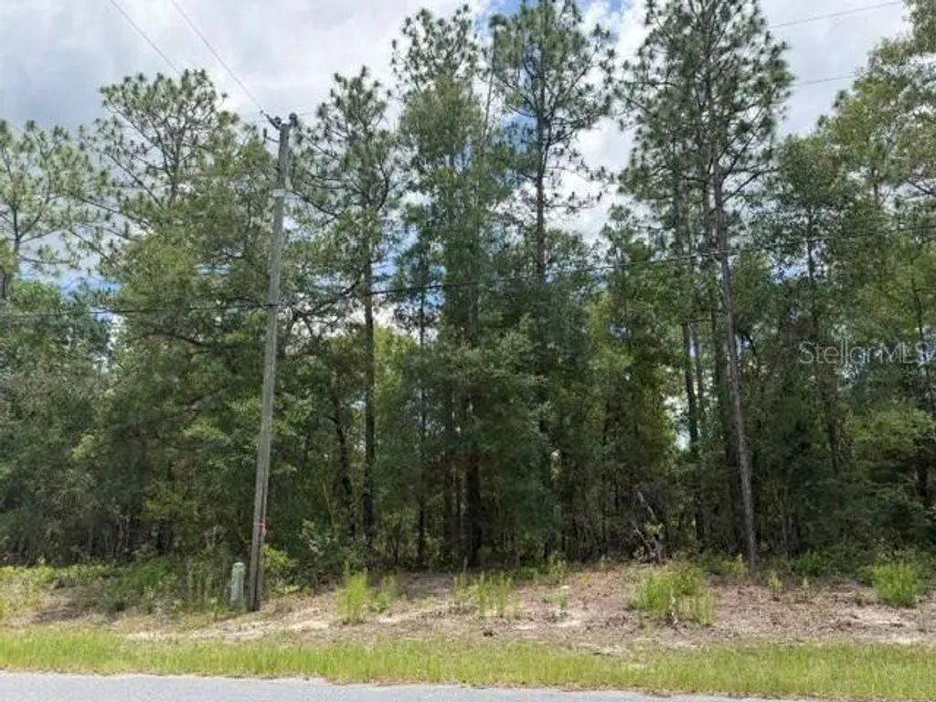 1982 W Roseboro Drive, DUNNELLON