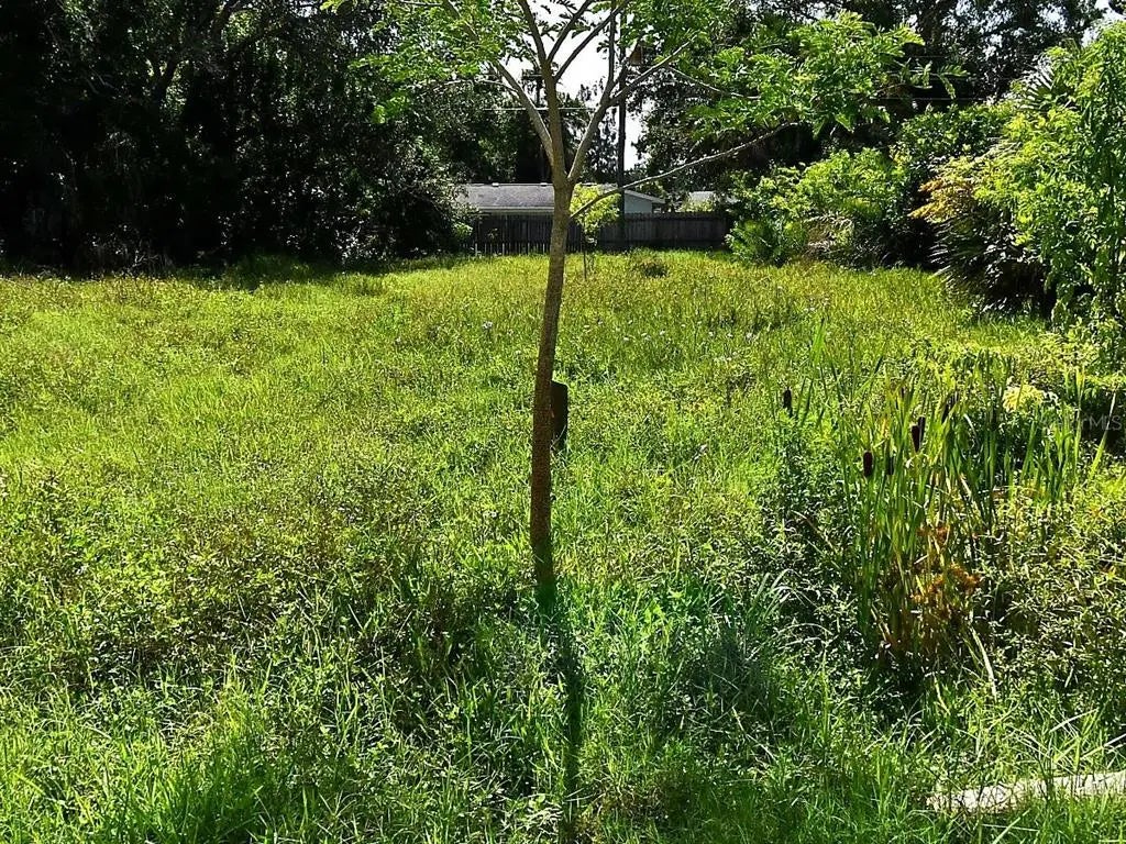 Olive Avenue, NOKOMIS