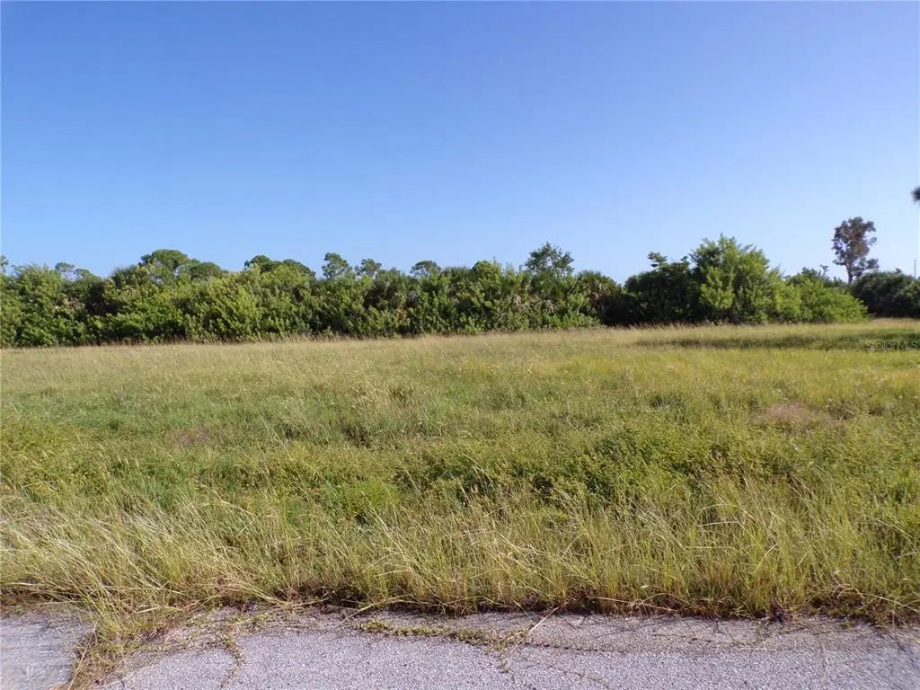 Photo of Listing #C7516032