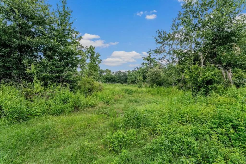 5566 Harvey Tew Road, PLANT CITY