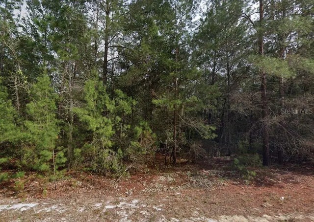 Theresa Avenue, INTERLACHEN