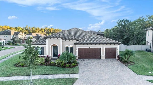 28726 Picana Lane, WESLEY CHAPEL