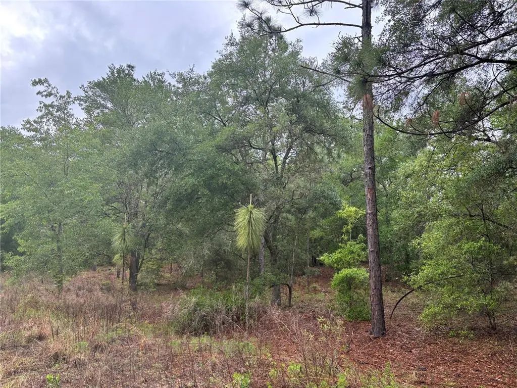 Sw 19th Place, OCALA
