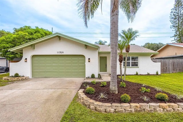 11709 Cypress Park Street, TAMPA