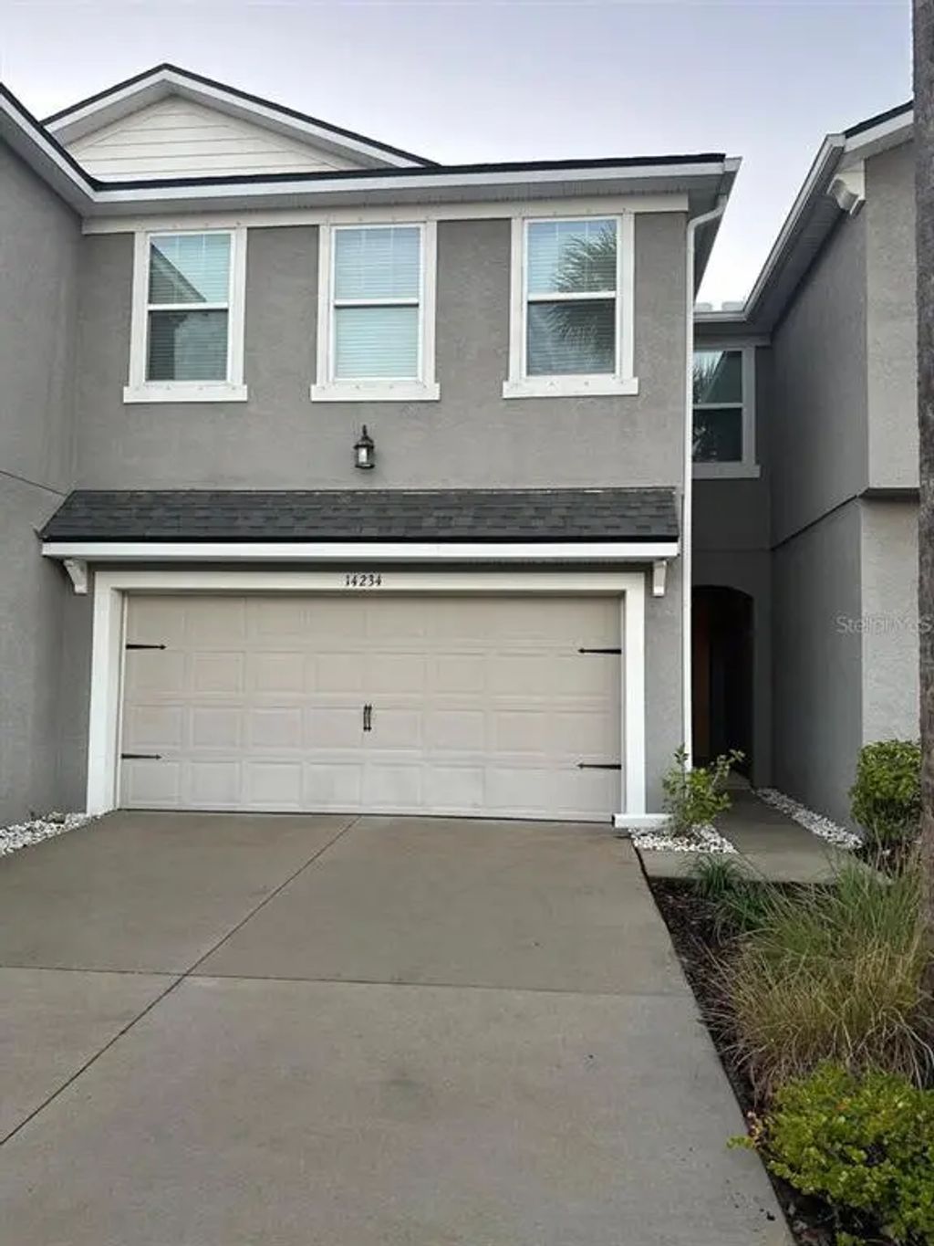 14234 Damselfly Drive, TAMPA