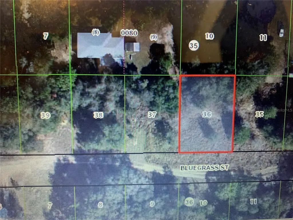 2406 Bluegrass Street, INVERNESS