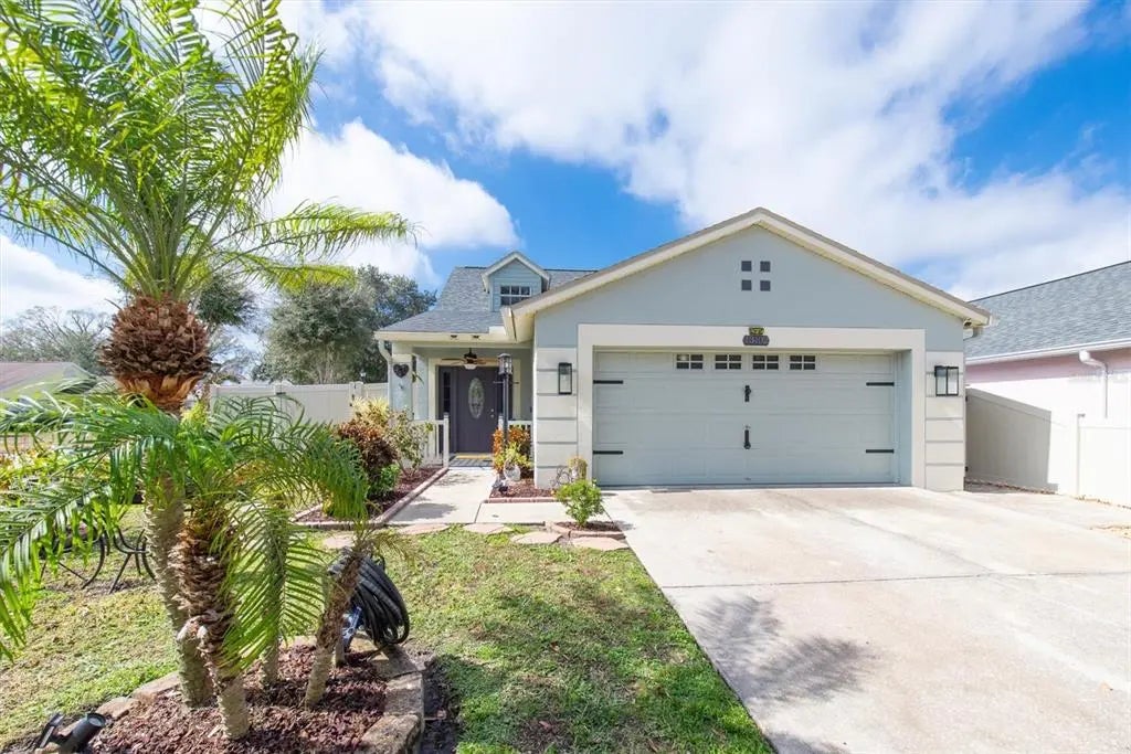 13102 Carrollwood Creek Drive, TAMPA