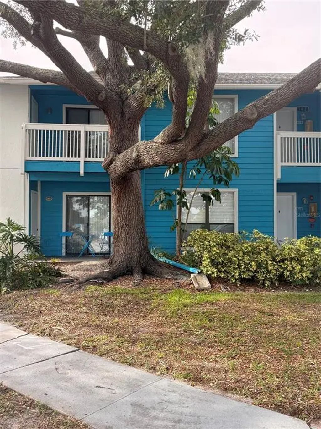 455 Alt 19 S 141, PALM HARBOR