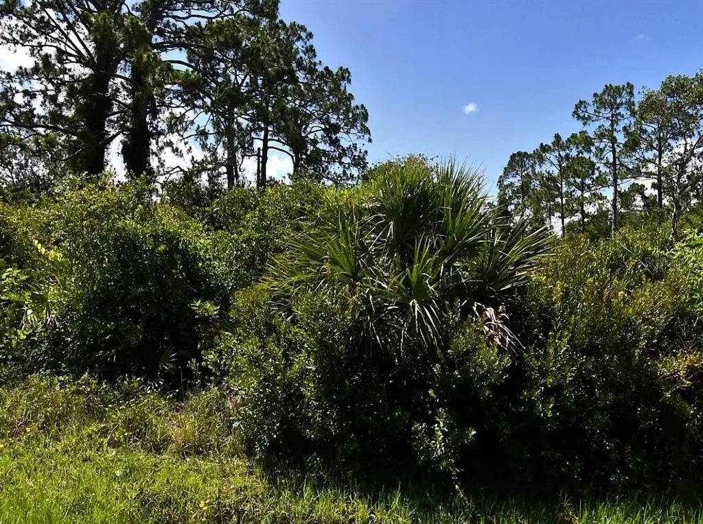 De Miranda Avenue, NORTH PORT