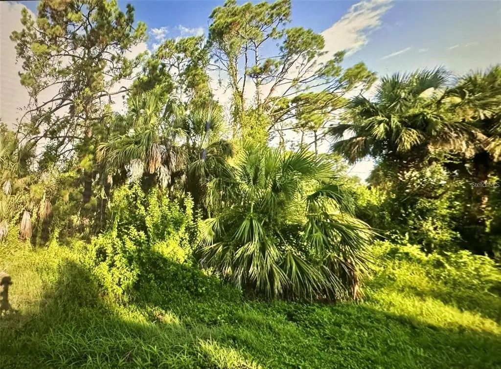 109 Camillia Lane, PORT CHARLOTTE