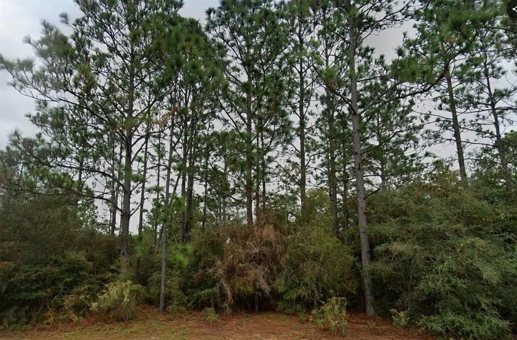 Deltona Boulevard, CHIPLEY